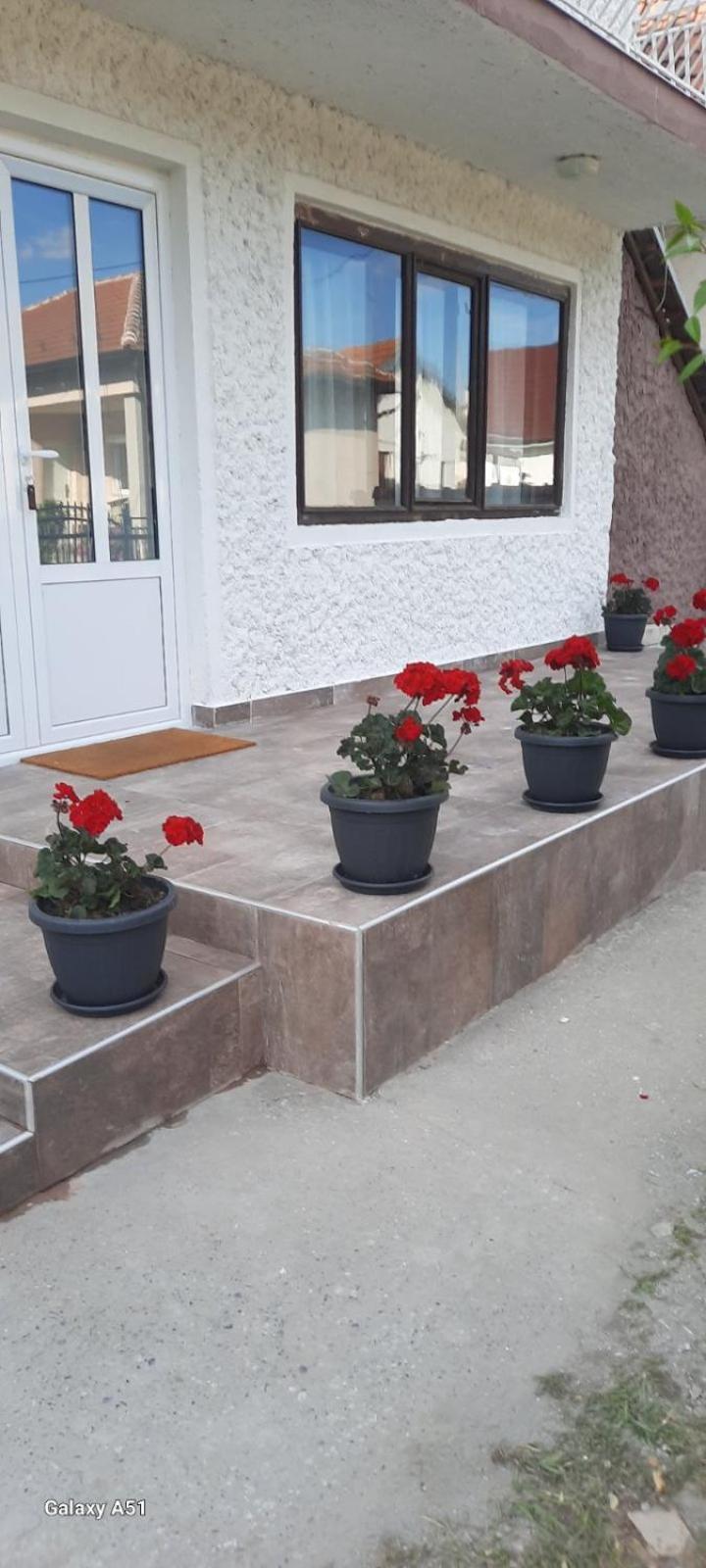 Privatni Smestaj Nanica Mataruska Banja Exterior photo